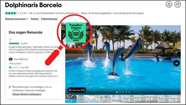 Nach GRD-Kritik: Bei Tripadvisor sollen Attraktionen mit Delfinen und Walen nicht für einen Publikums-Award in Frage kommen