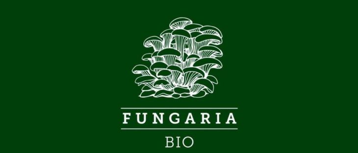 EnWave verkauft 10kW Maschine an Fungaria Snack Ltd. für Obst- und Gemüseproduktion in Ungarn