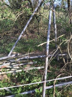 Wie ist in der Regel der Ablauf beim Schrottabholen in Remscheid