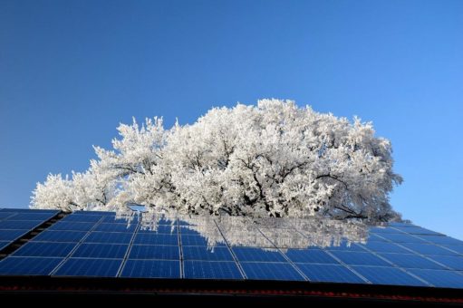 Stadt Erlangen fördert Photovoltaik und mehr
