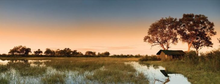 NEU: Great Plains‘ Okavango Explorers Camp in Botswana