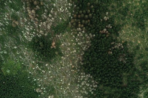 Nachhaltige Kooperation: AWI-Polarflugzeug im Harz