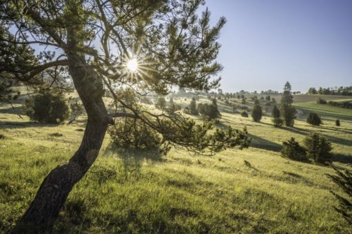 Rad- und Wanderkarte Mittlere Schwäbische Alb – Traumtouren durch malerische Landschaften