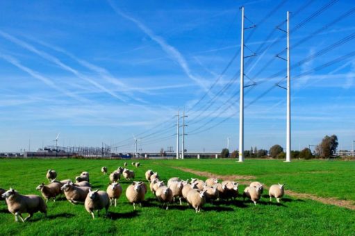 Tennet Holland vergibt Großauftrag zum Bau von kompakten, umweltschonenden Stromtrassen an Konsortium Heijmans/Europoles