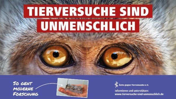 „Tierversuche sind unmenschlich“