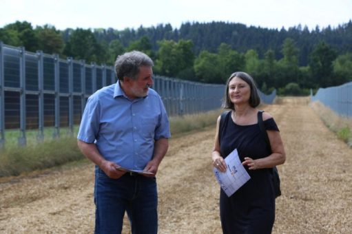 Energiesicherheit und Artenschutz – Regierungspräsidentin Bärbel Schäfer besucht Landwirtschaftsbetrieb und Agri-PV-Anlage im Schwarzwald-Baar-Kreis