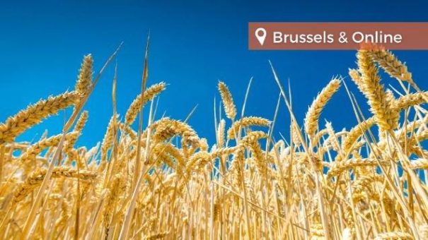 16th European Food and Feed Law Conference (Konferenz | Online)