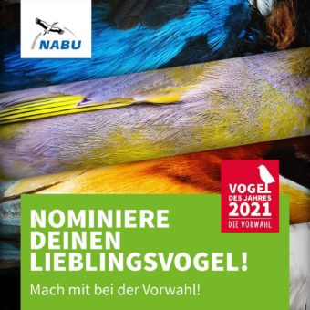 NABU sucht Vogel des Jahres 2021