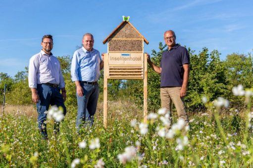 Freie Kost und Logis für Insekten