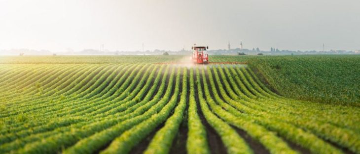Liquidität: Neue Förderung für Landwirte mit zinsgünstigen Darlehen