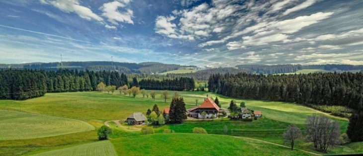 Wichtig für Umsatzpauschalierer: Eine Hofübergabe kann die Besteuerung verändern
