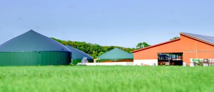 Investitionsprogramm Bauernmilliarde: Wann Landwirte Geld zurückzahlen müssen