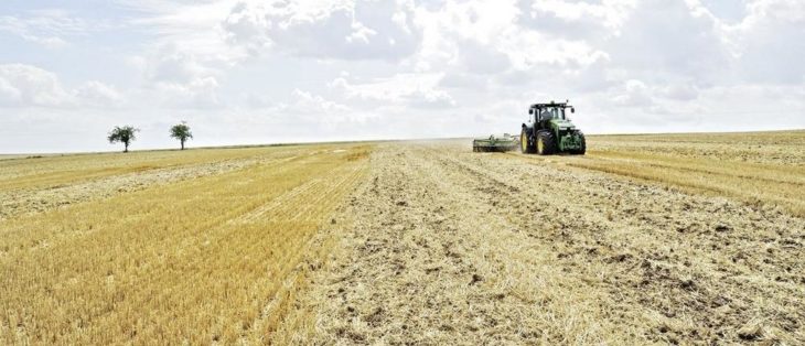 Grunderwerbsteuer: Das gilt beim Grundstückstausch zwischen Geschwistern