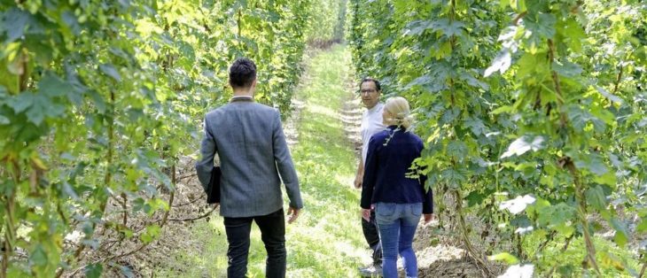 Praktikanten beschäftigen: Auf das müssen Landwirte achten