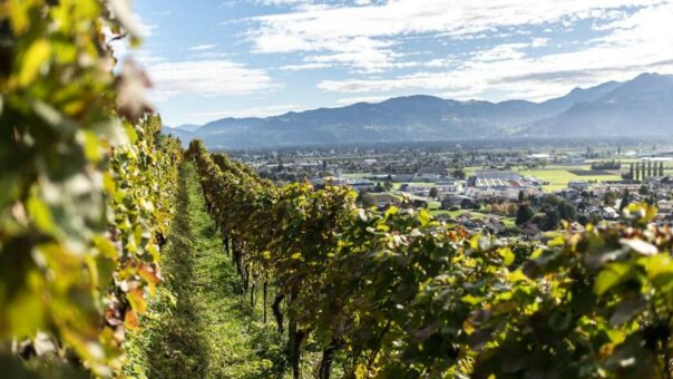 Auszeit im Wein- und Wanderparadies St.Galler Rheintal
