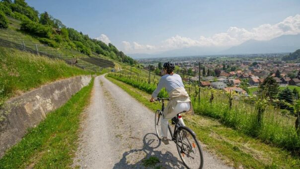 «RheinWelten»: St.Gallen-Bodensee steuert attraktive Erlebnisse bei