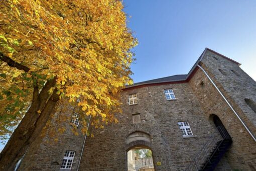 Mülheim im Herbstgewand