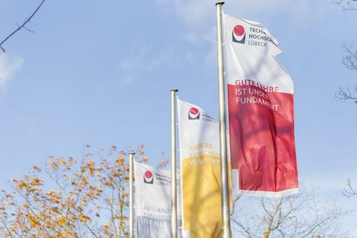 Professor der TH Lübeck zum „Teacher of the Year 2020“ der Virtuellen Fachhochschule gewählt