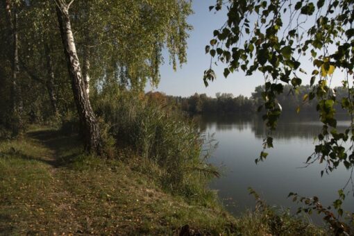 Jetzt Herbstwanderung auf dem DonAUwald-Wanderweg planen