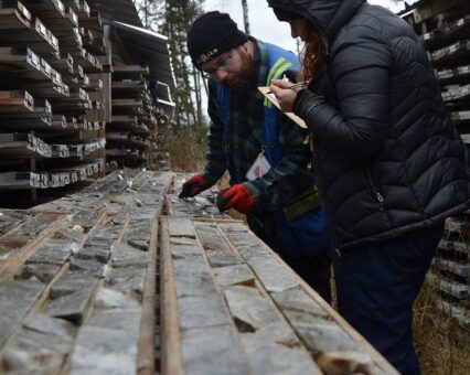 Gold und Silber als Notgroschen