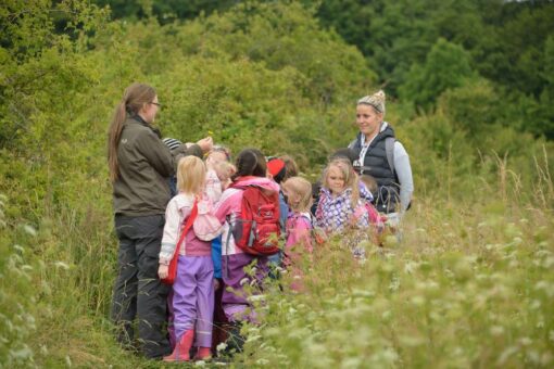 Freie FÖJ-Stelle im Nationalpark Hainich