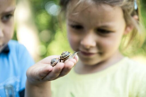 Kinder in Baden-Württemberg erleben die Natur hautnah