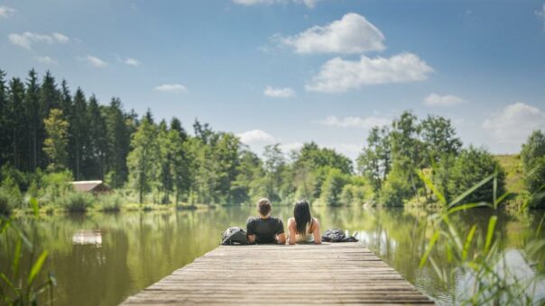 Zukunftswald und Mikroabenteuer