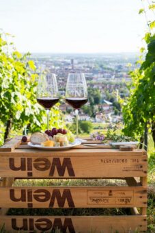 Weinsommer in Heilbronn