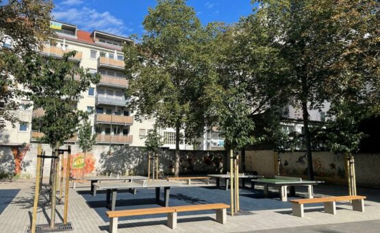 „Aus Grau wird Leben“: Neues Grün in der Pestalozzischule und im Schloss-Gymnasium