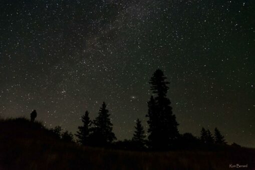 Spruce Woods Provincial Park wird Manitobas erstes Dark-Sky Preserve