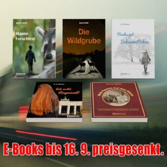 Ein Sprung gegen die Frontscheibe, Gestalten aus dem Schatten sowie die Liebe zu Berlin und zu Luise – E-Books von Freitag bis Freitag zum Sonderpreis