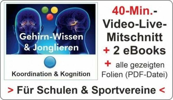 Schüler sitzen zu lange in der Schule und bewegen sich zu wenig