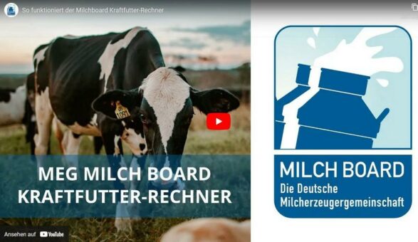 Selbstbestimmt am Milchmarkt mitmischen