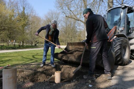 Dürre im Schlossgarten: Niedrigste Niederschlagsmenge seit Aufzeichnungen