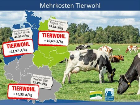 Tierwohl für Kühe – bezahlbar?