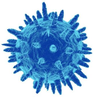 Bestimmung der Anreicherung von Krebs-Biomarkern in Exosomen
