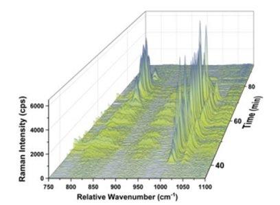 Simultane Auftrennung, Detektion, Größenbestimmung und Chemische Identifizierung von Nanoplastik-Gemischen