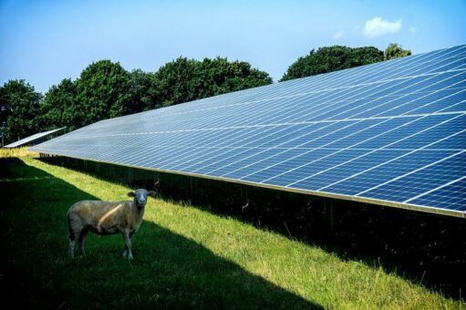GMH Gruppe vereinbart Liefervertrag mit EWE für Grünstrom aus dem Solarpark Burhafe