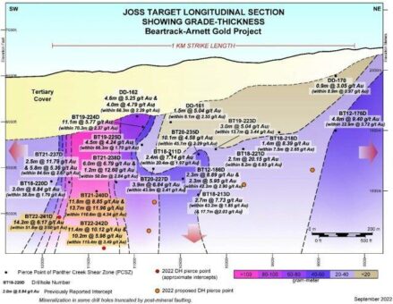 Revival Gold durchteuft bei Bohrungen auf Beartrack-Arnett 10,1 g/t Gold auf 11,4 m, enthalten in 115,4 m mit 3,5 g/t Gold