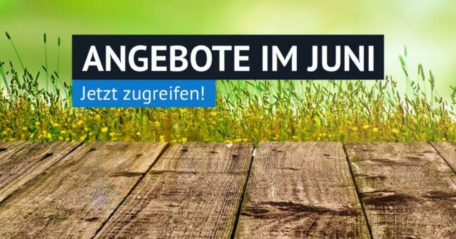 Werkzeug, Maschinen und Zubehör zu Top-Preisen