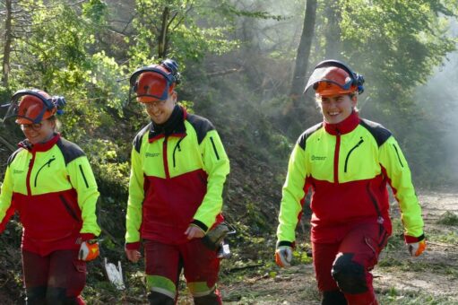 Draußen arbeiten und was Praktisches machen – Sollingwälder als Arbeitsplatz