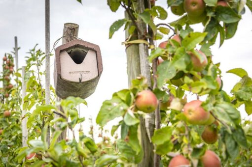 Für die heimische Tier- und Pflanzenwelt: Neue Bio-Äpfel sorgen für mehr Artenvielfalt im EDEKA- und Netto-Regal