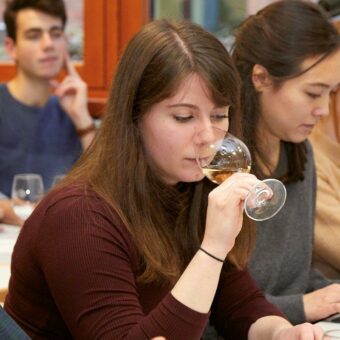 MBA-Fernstudium Management in der Weinwirtschaft jetzt per Schnupperstudium erkunden