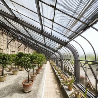 Finale der Sommerausstellung: „Verlangen nach Zeit“ bis zum 9. Oktober im Kalthaus