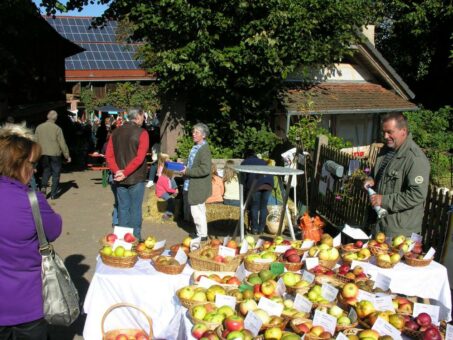 Herbst auf dem Bauernhof: Hoffest beim Bio-Weidemilchbetrieb Zimmermann in Oberzent-Beerfelden am Sonntag, den 9. Oktober 2022