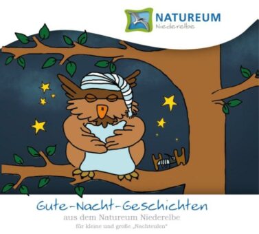 Nachts übernehmen die Tiere das Kommando