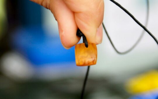 Seit Jahrtausenden als Geschenk beliebt