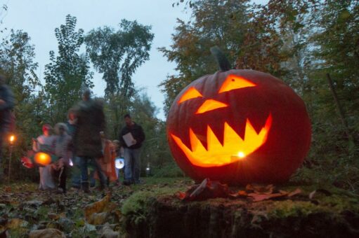 Kürbisgeister und Gruselgeschichten