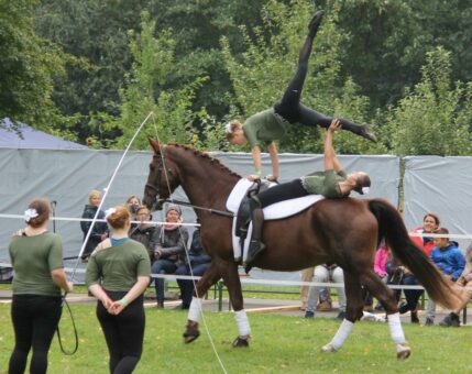 Aktionstag rund ums Pferd im Natureum