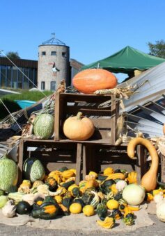 Kunsthandwerk, Leckereien und florales Design